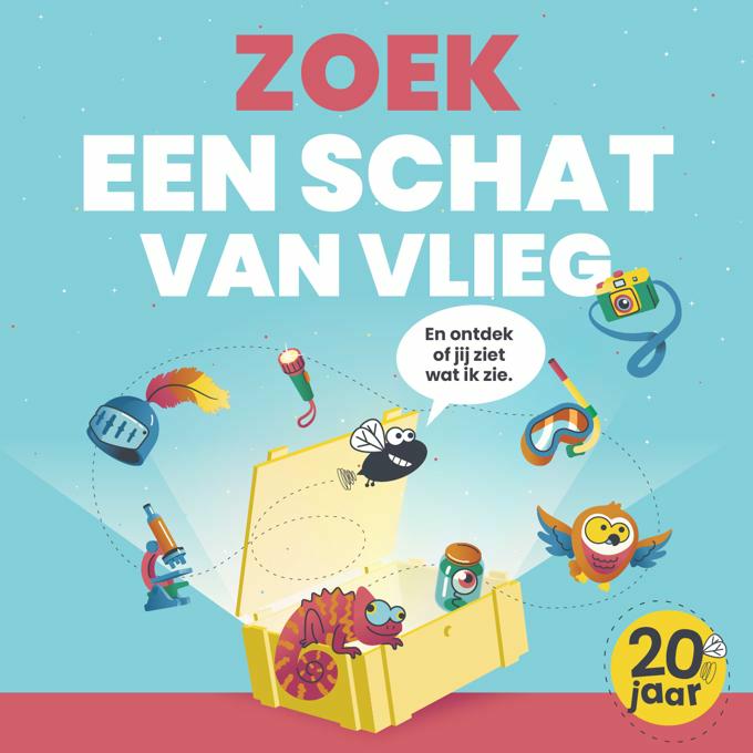 Schatten van Vlieg